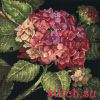 Dimensions 20053, Бутон гортензии (Цветок гортензии, Hydrangea Bloom)