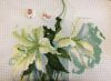 1218608498_.thumb.JPG.ddc50a81b12189897ac02d843aa28fe5.JPG