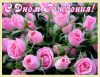 1296792945_(2).thumb.jpg.a4eaa3652402d2e60ca973dd4cbe84c9.jpg