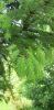 20200519_104103.thumb.jpg.f1d8a531b067e38522a09f35f831369a.jpg