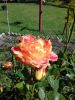 20200607_155638.thumb.jpg.182449d1982dab2534b2caa1e8be9b2e.jpg