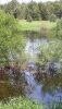20200611_152612.thumb.jpg.c49143d81133cdb4689dfbc0700fc0a6.jpg