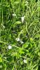 20200611_152709.thumb.jpg.d7c44bb38b2059def4d2d614dcaf0d69.jpg