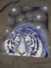 20200622_233910.thumb.jpg.7f76f94492589823c79adead24d3986a.jpg