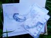 20200626_202945.thumb.jpg.3aefae813293eb9f8590bbc53c1b7fa1.jpg