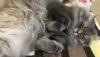 2098072048_7.thumb.JPG.d0e792ee5fe707704a06b2abe49f0f81.JPG