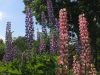 2135559152_4.thumb.JPG.084a93b55f58d79f81347ac85a3f48a1.JPG