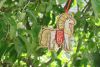 4.thumb.jpg.be7ff4c8a5a385a59fc9ad1ec844cd46.jpg