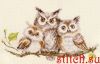 47376.jpg.38f800423e67c3b7ece193f49b8b8cf6.thumb.jpg.6194a00dd5dbee9a062a3cadddf14f71.jpg