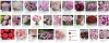 510769917_.thumb.png.17362809cf2917ff5d0ce2b97fcb5bd7.png