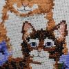 6-11-36-59-90_s.thumb.jpg.4b142b3ed36c22910b46c839059e6858.jpg