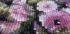 6-11-36-59-90_s.thumb.jpg.dd9b6847703e6ccd1325eb5777ac1329.jpg