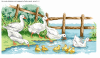 Goose groups paddling water