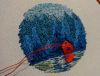 DSC07073.thumb.JPG.21d7eee2483f8fc24d5982a4fe3c0117.JPG