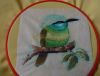 DSC07203.thumb.JPG.09b80ae52c835aa87f7a14724dcf414c.JPG