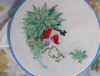 DSC07242.thumb.JPG.15c9f01c1f6ff37d74684c703977e3f2.JPG