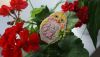 DSC08417.thumb.JPG.5980e612b9e82463bebc2e7c5b83526f.JPG