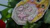 DSC08423.thumb.JPG.7ce948def227d6c2a625920485e33a96.JPG