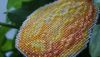 DSC08426.thumb.JPG.8a5bf675f29cb783fc02d3e92fec3e8e.JPG