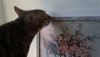 DSC08444.thumb.JPG.564eb6c8d6e74338c7355e141d9ba7a8.JPG