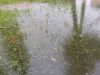 DSCF3884.thumb.JPG.8562d9acc3d47836e337b8a7a1eac408.JPG