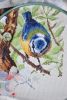 DSC_1076.thumb.JPG.84ac82302f7bb9341ecdefd79d467d70.JPG