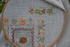 DSC_2483.thumb.JPG.7e03e54747545ca84b1e0264283e9dba.JPG