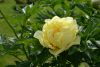 DSC_2565.thumb.JPG.9ed3a229bcc444d3a01cde1ed763a9de.JPG
