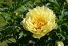 DSC_2580.thumb.JPG.2b935913e12066edf3de089d93d4cbd4.JPG