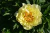 DSC_2584.thumb.JPG.733e3194717da0960c369daa158b10d5.JPG