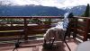 IMG-20200607-WA0001.thumb.jpg.e6c21d2d0e1f76c14dc1d663c37730eb.jpg