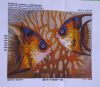 IMG-20200622-WA0000.jpg