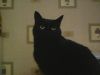 IMG0006A.thumb.jpg.a7b3ecc6b999abc9f4d2b2266259721b.jpg