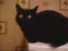 IMG0008A.thumb.jpg.d6ade7d34aa5f94a4ed0c49a0bf6cc50.jpg