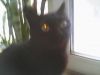 IMG0028A.thumb.jpg.c64325c252bb94d9acfca30dfa47f9fb.jpg