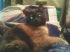IMG0044A.thumb.jpg.05891c3e3cfdefb72e9b52ca122c879e.jpg