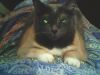 IMG0052B.thumb.jpg.752bec9e46ed26809d6c892645e3c42b.jpg