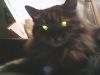 IMG0054A.thumb.jpg.0c4a3beb3fddc4f95817d6262c9acb18.jpg