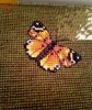 IMG_20190701_154629.thumb.jpg.4b00bb0911d3ec48c545d2b3f765ada7.jpg