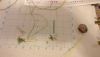 IMG_20200321_182147.thumb.jpg.c0d05b7e55e49e45e88fbe621b4bb26a.jpg