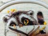 IMG_20200417_185123.thumb.jpg.a816eb2328eabe57301574da5ba3e1b7.jpg