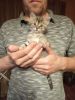 IMG_20200513_215305.thumb.jpg.d9a54b725ef3f9de0498405d3d69c138.jpg