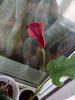 IMG_20200526_193111.thumb.jpg.a044e1cd3b698aac273f58cdc1b1176d.jpg