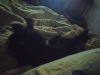 IMG_20200604_234232.thumb.jpg.893b96c54f5b5865ebae1ce0e6df9c06.jpg