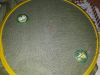 IMG_20200608_104610_432.thumb.jpg.759400858c249a3668724d4306dbb166.jpg
