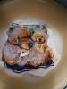 IMG_20200616_164107.thumb.jpg.89f1376a14b8cce7c734173f5fc36f81.jpg