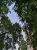 IMG_20200616_201922.thumb.jpg.4da55300edebcd3697ce9e90fac04c33.jpg