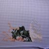 IMG_20200620_001548.thumb.jpg.a339cf60f433ca43b0e6712896f7715e.jpg