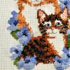 IMG_20200623_144445.thumb.jpg.97e2960eb8407373ac1583e136623c2a.jpg