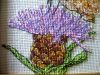IMG_4909.thumb.JPG.56a0907e2db41c3864858eb0f74f5975.JPG